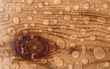 Вакуумная пропитка — импрегнация древесины 1